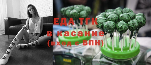 индика Балахна