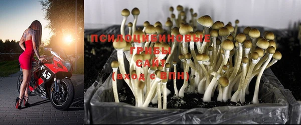 дмт Ивантеевка