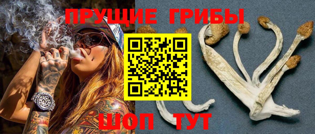 Галлюциногенные грибы мицелий Звенигород