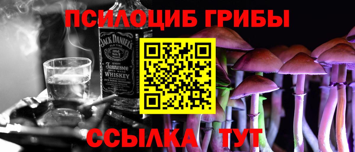 Галлюциногенные грибы MAGIC MUSHROOMS  Вход с VPN  Звенигород 